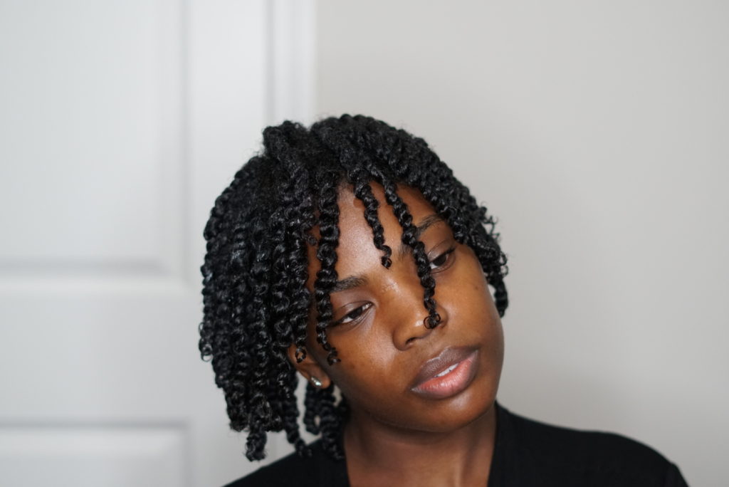 Everyday-Fro-Twist-Out-Method