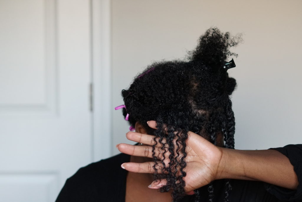 Everyday-Fro-Twist-Out-Method