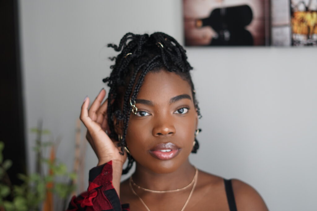 mini-braids-protective style